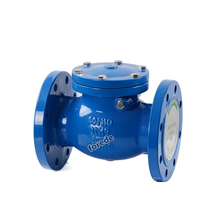 2 Inch Swing Check Valve