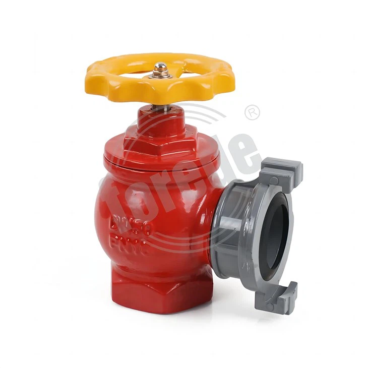 Indoor Fire Hydrant Images