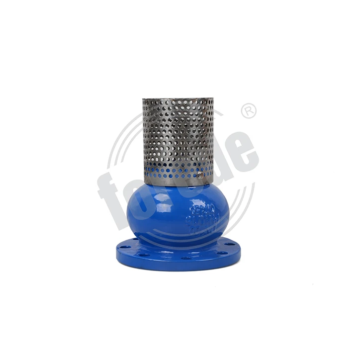 Foot Valve Flange End