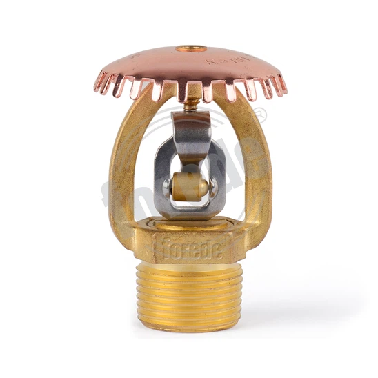 CMSA161 CMSA161